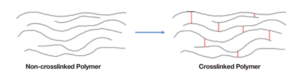 Comparison between a non-crosslinked polymer and a crosslinked polymer